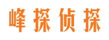 荆州市私家侦探